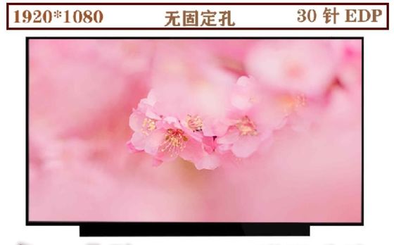 N133HCE-EN1 Innolux 13,3” 1920 (RGB) EXHIBICIONES INDUSTRIALES del LCD del ² de ×1080 330 cd/m