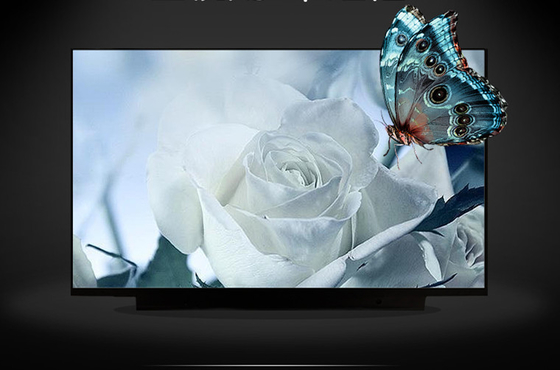 B133HAK02.2 AUO 13.3&quot; 1920 ((RGB) × 1080, 300 cd/m2 Pantalla LCD industrial