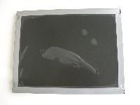 EXHIBICIÓN INDUSTRIAL del LCD del ² de la pulgada 320 (RGB) ×240 los 400cd/m de TM057KDH01-00 TIANMA 5,7