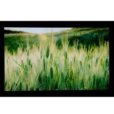 10,1” LCM 1024×600RGB   ² de los 350cd/m   Exhibición de TFT LCD del sostenido LQ101W3LG01