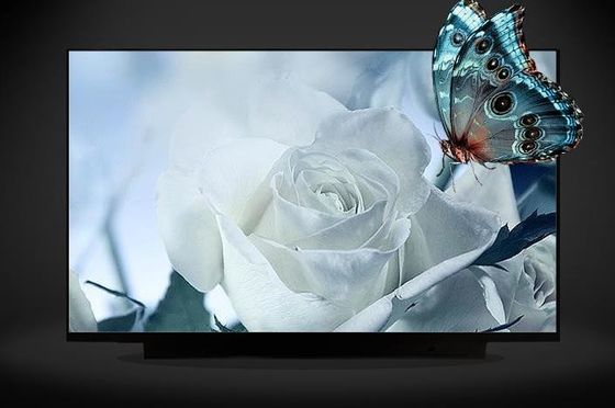 N161HCA-EA3 Innolux 16,1” 1920 (RGB) EXHIBICIONES INDUSTRIALES del LCD del ² de ×1080 300 cd/m