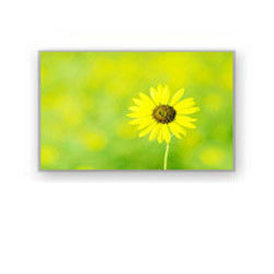 4,0&quot; exhibición industrial HSD040I3N1-B00 HannStar de 320×240 4700cd/M2 Lcd